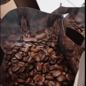 Kopi Arabika Gayo Asli | Sanger Arabica Coffee Original | Kopi Susu
