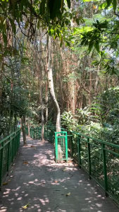 Tapaxco Tas Selempang Pria Ginkel Mini Slingbag Casual Local Brand Kanvas Cordura