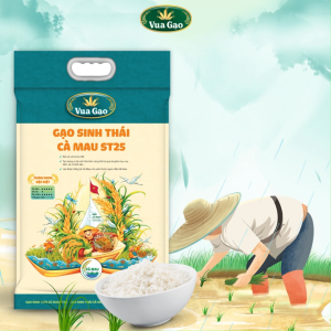 Gạo ST25 Sinh Thái Cà Mau - Chính Hãng Vua Gạo - Túi 5kg Gạo Trắng Sinh Thái Việt Nam Gạo Ăn Liền Đóng Túi Carton - Lazada