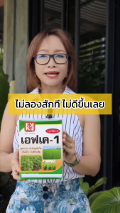 อ้อย ปล้องสั้น ต้นผอม ใบเล็ก ใบซีด โตช้า อ่อนแอ อาจเกิดจากการขาดสังกะสี Zn ใช้ ปุ๋ย FK-1 ฉีดพ่น