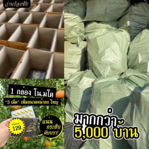 ว่านร้อยชัย 4 แถม 1 เซ็ตเห็นผลต่อเนื่อง อกฟู เต่งตึง ฟิต กระชับ ลดตกขาว ลดกลิ่นอับ