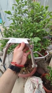 Chân chống đứng Inox 304 các dòng xe