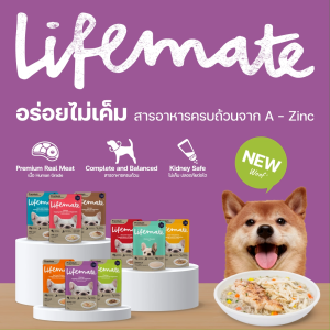 [12ซอง] Lifemate Dog Wet Food🐶อาหารเปียกสุนัข ไลฟ์เมด เนื้อแท้เกรดพรีเมี่ยม ปรับสมดุลลำไส้ ขนาด 70 g