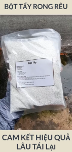 Bột Tẩy rong Rêu Sân Sàn Xi Măng Bờ Tường Gạch Tàu - Gói 500gr Bột Tẩy 500Gr Cho Đá Và Gỗ - Lazada