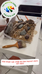 Đặt Trước Bộ Layout Vách Cho Hồ 30-60cm Phong Cách Biotope Trang Trí Hồ Cá