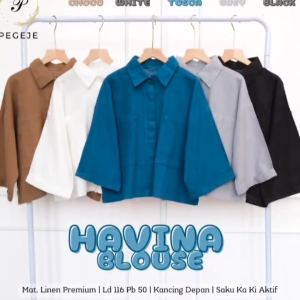 BISA COD Atasan Wanita Kemeja Linen Motif Polos Warna Cantik Dan Menarik Havinaa Blus