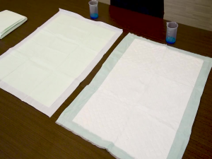 UNICHARM PET DEO SHEET SUPER WIDE SW6 GREEN AROMA 60 x 90 CM Pee Pad Anjing Xtra Kering Training Pee Pad Anjing Extra Kering Under Pad Anjing Anti Bocor Underpad Anjing Ukuran 60x90 Isi 6Pcs