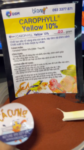 Bột Tăng Màu Vàng Carophyll Yellow 10% cho cá tôm chim - Carophyll Vàng trộn thức ăn cá (Hàng Cty)
