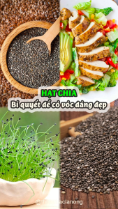 Hạt chia 100g hạt chia đen eat clean dùng pha trà làm sinh tố nước ép nấu ché dưỡng nhan