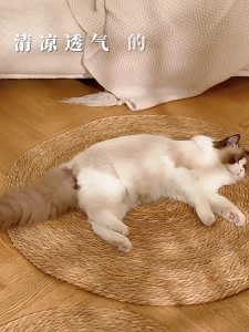 Cat Scratch Mat Wear Resistant Interactive Toys Multipurpose Scratching Resistant Cat Scratcher for Kitten Kitty Accessories Minimalist Aesthetic Woven Rattan Decorative Color Block Room Rug