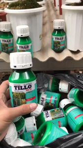 Tillo 500SC 500 ml Fungisida Pembasmi Penyakit Blas Pada Tanaman Padi