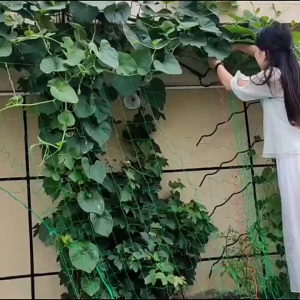 ตาข่ายปลูกพืชผัก ค้างปลูกผัก อวนปลูกผัก ตาข่ายอวน  อวนปลูกผัก ตาข่ายอวน ค้างแตง ไม้เลื้อย เน็ตตาข่ายสี่มุม ตาข่ายไนลอน