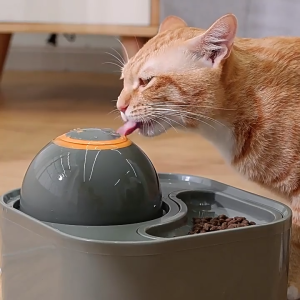 2.5LCat Water Fountain Cat Water Feeder Automatic Feeder Cat drinking water  filter pet accessories