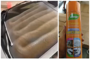 Cleaner Foam Multipurpose Wangle Spray Pembersih Penghilang Noda
