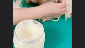 Kem làm sạch & khăn ướt lau cằm đen lông dầu và ố vàng cho Mèo mẫu mã mới - Love pets shop
