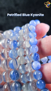 Collection Grade Petrified Blue Kyanite Bracelet