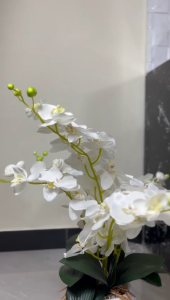 Gorden Kolong Dapur Minimalis Aesthetic Uk 100 x 70 cm + Bonus Tali