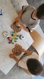 【SG 24H Ship】Montessori Children Geometry Shape Matching Toy Kids Concentration Training Toy Birthday Gift for Kids