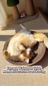 KUCINGJER Refill Large 40x60cm L Shape Cat Scratcher Board Cat Toy Cat Tree Scratches Papan Cakar Kucing Scratch Board 猫抓板