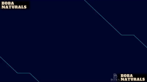 (HCM) Tinh Dầu Hương Nho Nhuyên Chất Khuếch Tan Hương Thơm Trong Không Khí Làm Thơm Phòng - BOBA Naturals