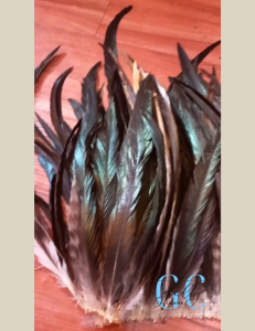 DIY Arts & Crafts Feathers | Buntot Mahaba Per Piece | 25-40cm | Natural Black Color