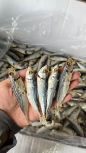 Cá Nục Gai Sấy Khô Cá Nục Khô Nghệ An Cá Nhạt Đã Sấy Chín - Bếp Mẹ Mít