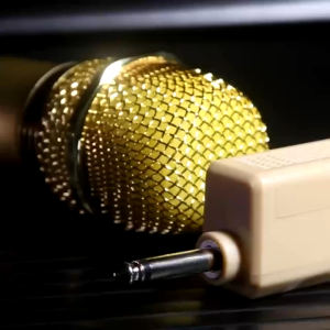 Micro không dây karaoke đa năng siêu rẻ chính hãng hozing hz113 - hai mic vàng  có phụ kiện đi kèm hát karaoke dùng cho mọi loa kéo amply  vang đẩy