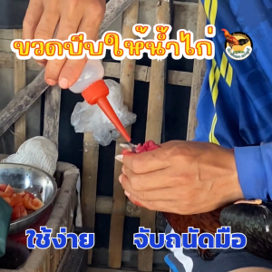 ขวดบีบให้น้ำไก่ชน ขวดน้ำไก่ชน ความจุ 160 ml.