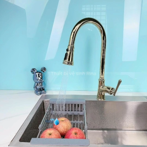 DÂY RÚT CAO CẤP Vòi nước rửa chén bát nóng lạnh dây rút đồng sơn tĩnh điện cao cấp Rina RN5001 3 chế độ nước tiện lợi