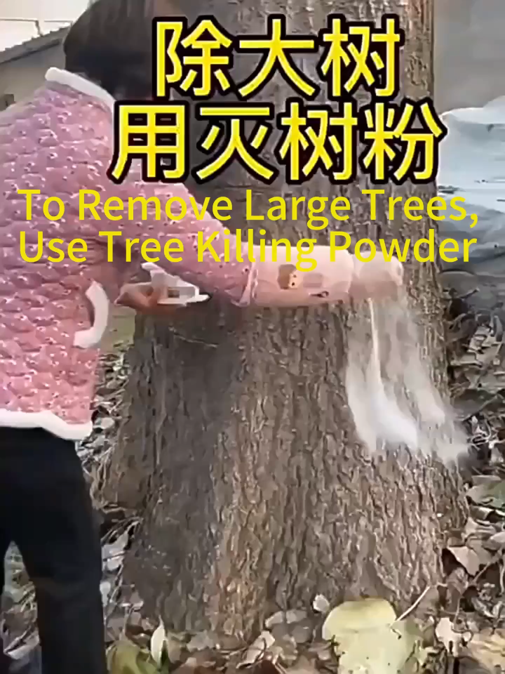 (3 Seconds to Remove Big Trees) 500g Tree Killer Chemical Hexazinone Root Removal Kill Tree and Bamboo Tree Root Killer Do not Harm the Soil Tree Killing Powder Powerful Grass Killer