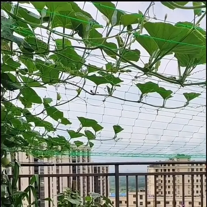 KAISER ตาข่ายปลูกผักไนล่อน 0.9x1.8 เมตร