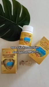 MSI GAMAT EMAS MAHKOTA MSI KAPSUL