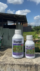 Suplemen Sel Tanaman Vitaron SL 1liter