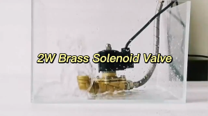 2W Normally Closed Brass Electric 12V 24V 220V 1/4"  1/2" 3/4" 1" Solenoid Valve Magnetic Water Solenoid Valve