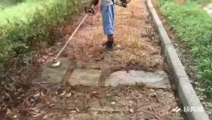 {พร้อมส่ง} แปรงลวด สำหรับใส่เครื่องตัดหญ้า 8 นิ้ว