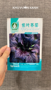 Hạt giống Cải Mù tạt tím lá to gói 5gr khoảng 2000 hạt hàng Trung