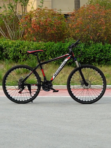 RAGUSA R-100 MTB Fork: High-Performance Metal Front Fork for Bikes