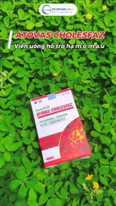 Viên Uống ATOVAS CholesfaZ Hỗ Trợ Giảm Cân Giảm Mỡ Máu Xơ Vữa Động Mạch - Hộp 60 Viên
