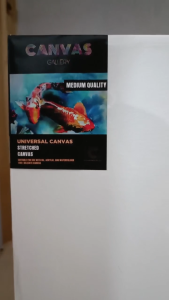 Kanvas Lukis 15x25 cm: Panduan untuk Seniman Pemula