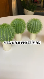 หัวกระบองเพชรปลอม (ไม่รวมกระถาง) สำหรับจัดสวนถาด