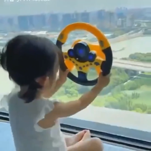 Mainan Anak Setir Setiran Mobil / Steering Wheel Car Backseat Driver / Mainan Setir Setira