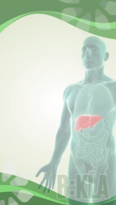 B:KLA 肝脏守护者 ( LiveGuard )