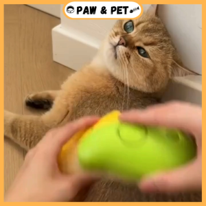 Pet Comb Brush Cat And Dogs Electric Spray Brush Rechargeable Pet Spray Massage Pet Grooming Tool Pet Hair Cleaning