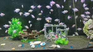 🐠🦐【READY-STOCK】 Aquarium Decoration Hiding Cave Fish Ornament Sailing Boat Sunk Ship Shipwreck 鱼缸造景海盗船残骸 鱼缸树脂模型仿真船 仿真军舰