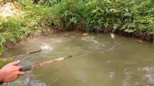 99900W/38000W DC12V Ultrasonic Inverter Electric Fish Fisher Fishing High Power Machine Safe Inverter Shocker Stunner Inverter Fishing Machine aparato pang kuryente ng isda