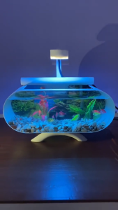 [PROMO] TERMURAH !! Aquarium mini cupang / aquarium kaca akrilik lengkap dengan mesin pompa dan filter aksesoris lengkap tinggal pakai (B001)
