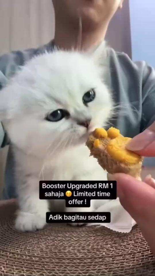 Makanan Kucing Snek Makanan Kucing Snack Kucing Snek Kucing Pet Freeze-Dried Cat Snacks Cat Raw Bone Kucing Makanan Freeze Dried Raw Meat Pet Snack