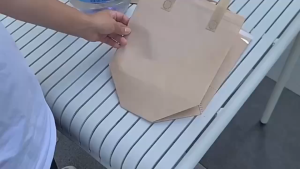 EC 5/10 Pcs Kraft Thermal Insulated Take-Away Bag Ice cream/Milk tea/Food Takeout Insulation Bag