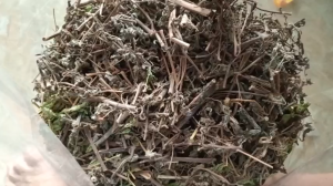 1kg cây cỏ mực khô