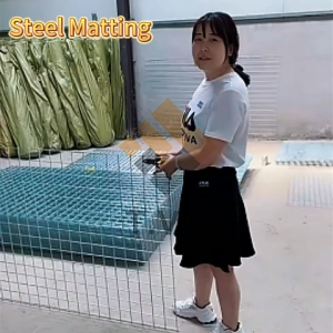 2inch Galvanized Welded Wire Fence Panel Steel Matting Metal for Bird Cage Panels Farm mesh fencing